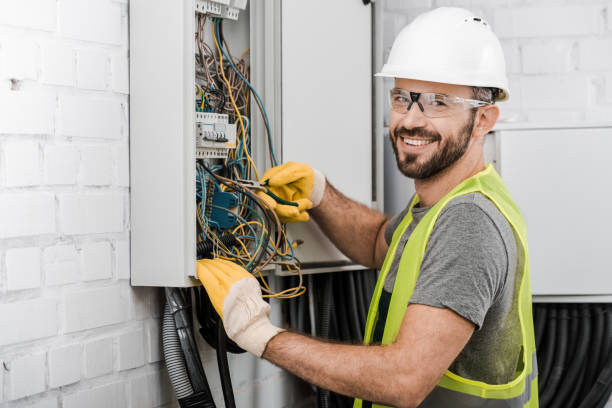 Best Electric Panel Repair  in Montrose, MN